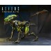 Aliens Fireteam Elite Series 2 - Alien Buster / Sppiter Alien 