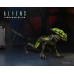 Aliens Fireteam Elite Series 2 - Alien Buster / Sppiter Alien 