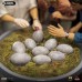 Jurassic Park - Dino Hatching (Deluxe)