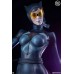 DC Comics - Catwoman 